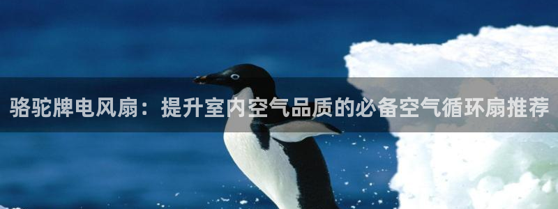 凯发网娱乐官网国际