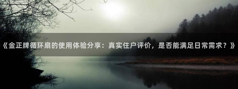 《金正牌循环扇的使用体验分享：真实住户评价，是否能满足日常需求？》