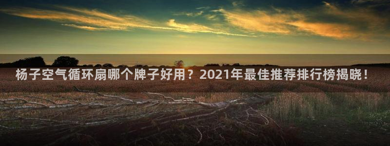 杨子空气循环扇哪个牌子好用？2021年最佳推荐排行榜揭晓！