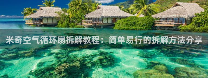 凯发k8ag旗舰厅网址：米奇空气循环扇拆解教程：简单易行的拆解方法分享