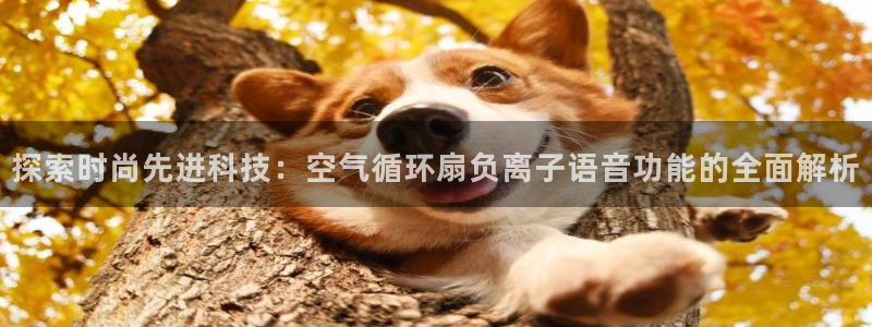 凯发官方:访问凯发.网站：探索时尚先进科技：空气循环扇负离子语音功能的全面解析
