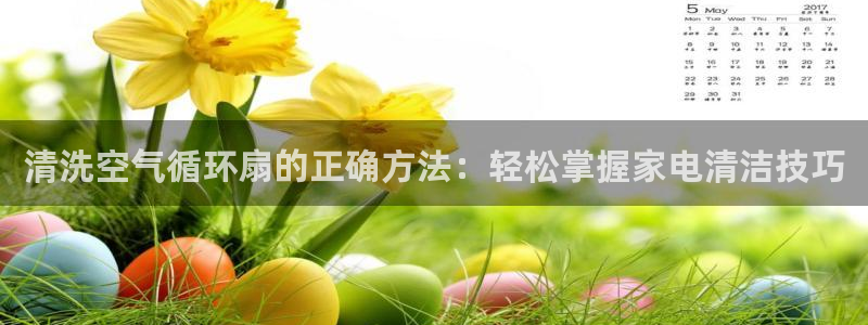 凯发k8是不是真的可靠：清洗空气循环扇的正确方法：轻松掌握家电清洁技巧