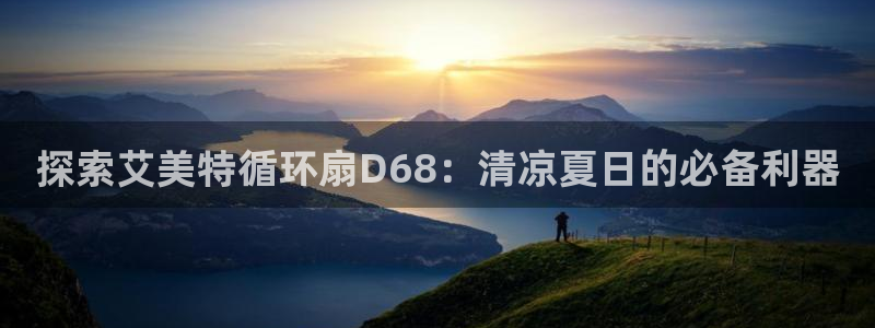 凯发网址登录：探索艾美特循环扇D68：清凉夏日的必备利器