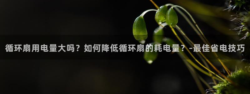 凯发k8娱乐平台：循环扇用电量大吗？如何降低循环扇的耗电量？-最佳省电技巧