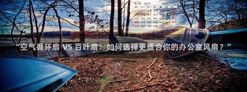 凯发手机官网：“空气循环扇 VS 百叶扇：如何选择更适合你的办公室风扇？”