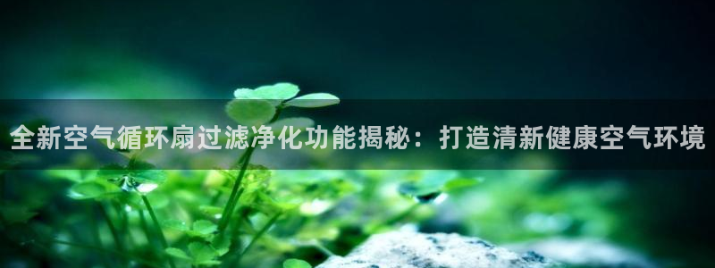 凯发手机app官网：全新空气循环扇过滤净化功能揭秘：打造清新健康空气环境