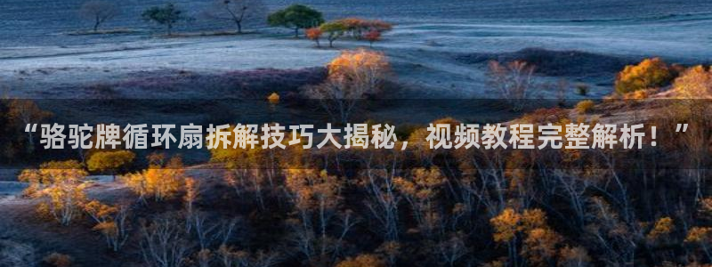凯发k8国际真人版安全送38元：“骆驼牌循环扇拆解技巧大揭秘，视频教程完整解析！”