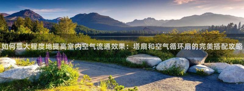 凯发娱乐国际厅：如何最大程度地提高室内空气流通效果：塔扇和空气循环扇的完美搭配攻略