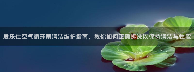 凯发k8娱乐是国内平台?：爱乐仕空气循环扇清洁维护指南，教你如何正确拆洗以保持清洁与性能