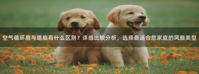 凯发在线平台官方网站：空气循环扇与塔扇有什么区别？详细比较分析，选择最适合您家庭的风扇类型