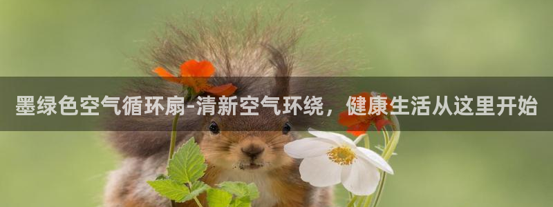 凯发国际网站：墨绿色空气循环扇-清新空气环绕，健康生活从这里开始