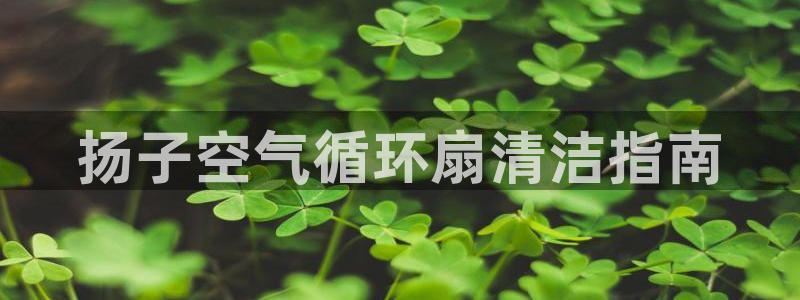 凯发k8国际不能提款了吗：扬子空气循环扇清洁指南