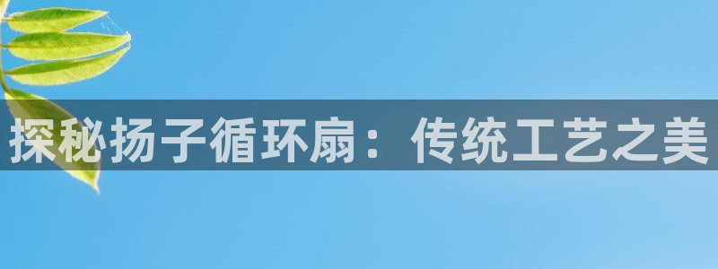 凯发官方在线：探秘扬子循环扇：传统工艺之美