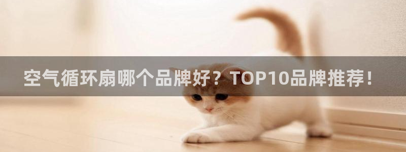 凯发注册网站：空气循环扇哪个品牌好？TOP10品牌推荐！