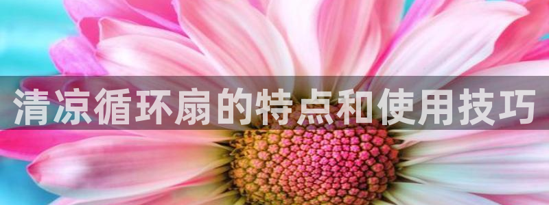 凯发k8娱乐官网最新版本：清凉循环扇的特点和使用技巧