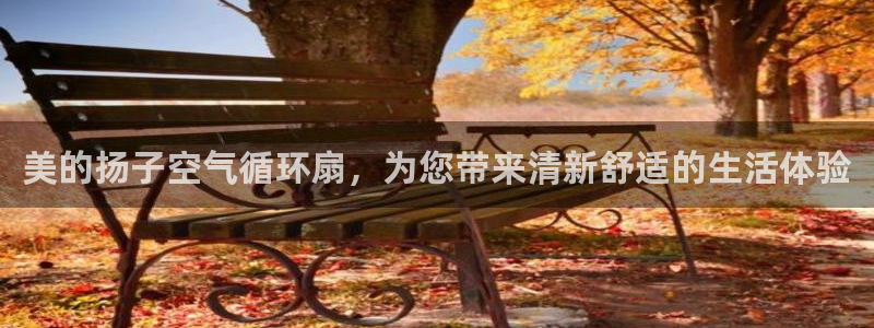 凯发正规网站：美的扬子空气循环扇，为您带来清新舒适的生活体验