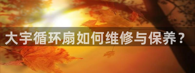 凯发线上客户端免费下载：大宇循环扇如何维修与保养？