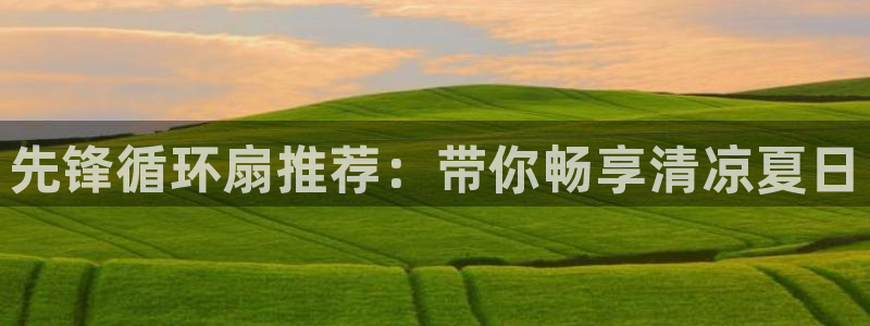 凯发app是干嘛的：先锋循环扇推荐：带你畅享清凉夏日