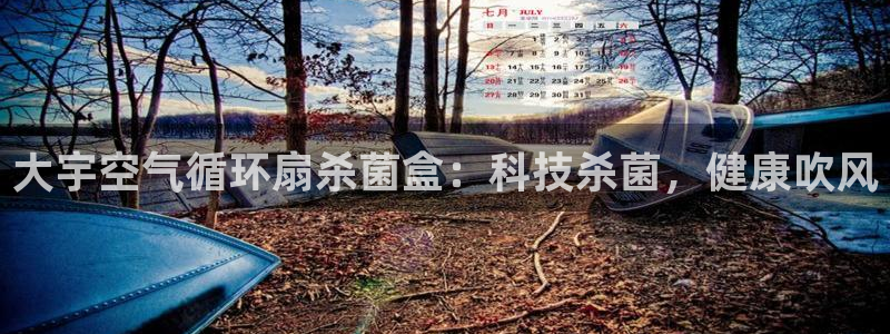 凯发网网站：大宇空气循环扇杀菌盒：科技杀菌，健康吹风