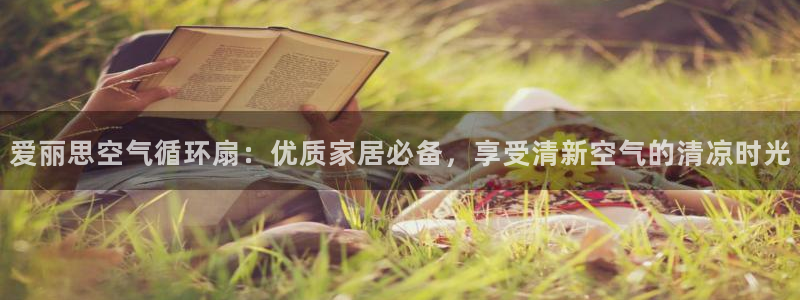 凯发国际k8官网登录：爱丽思空气循环扇：优质家居必备，享受清新空气的清凉时光
