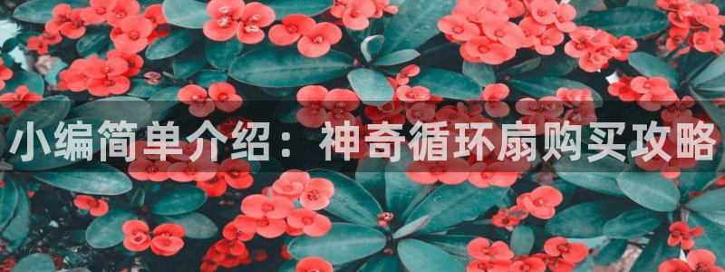 凯发k8娱乐注册登录：小编简单介绍：神奇循环扇购买攻略