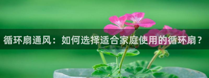 凯发官网登录地址陆地：循环扇通风：如何选择适合家庭使用的循环扇？