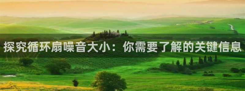 凯发国际真人：探究循环扇噪音大小：你需要了解的关键信息