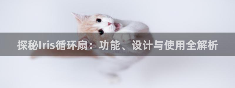 凯发旗舰厅：探秘Iris循环扇：功能、设计与使用全解析