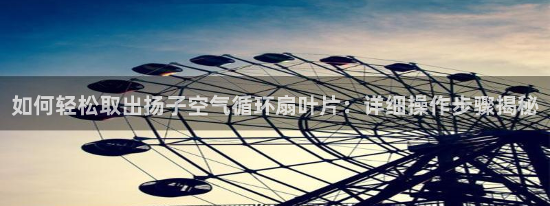 凯发k8娱乐是哪个国家的：如何轻松取出扬子空气循环扇叶片：详细操作步骤揭秘