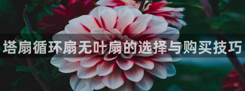 凯发登录网址：塔扇循环扇无叶扇的选择与购买技巧