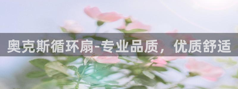 凯发旗舰客户端：奥克斯循环扇-专业品质，优质舒适