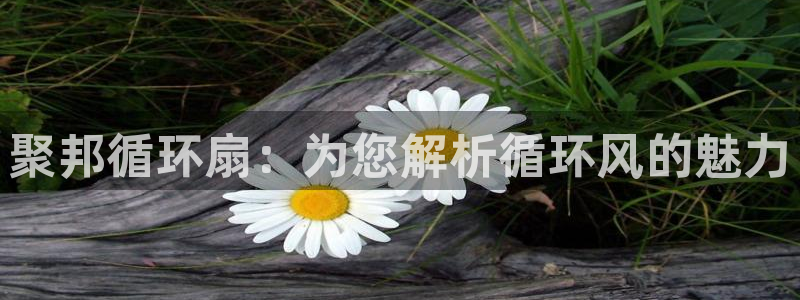 凯发k8国际首页登录：聚邦循环扇：为您解析循环风的魅力