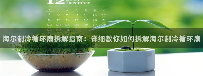 凯发k8国际官网可靠吗：海尔制冷循环扇拆解指南：详细教你如何拆解海尔制冷循环扇
