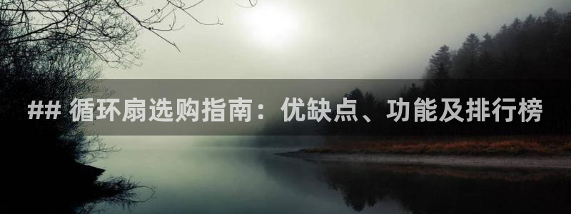 凯发k8官方网娱乐官方真：## 循环扇选购指南：优缺点、功能及排行榜