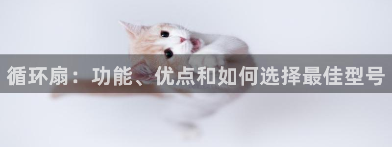 凯发k8客户端：循环扇：功能、优点和如何选择最佳型号