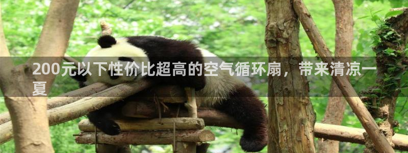 凯发k8网页登录：200元以下性价比超高的空气循环扇，带来清凉一
夏