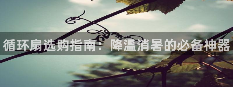凯发网娱乐官网国际：循环扇选购指南：降温消暑的必备神器