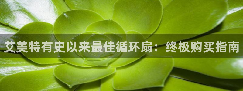凯发首页：艾美特有史以来最佳循环扇：终极购买指南