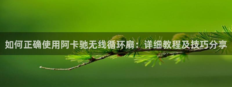 凯发娱乐国际厅：如何正确使用阿卡驰无线循环扇：详细教程及技巧分享