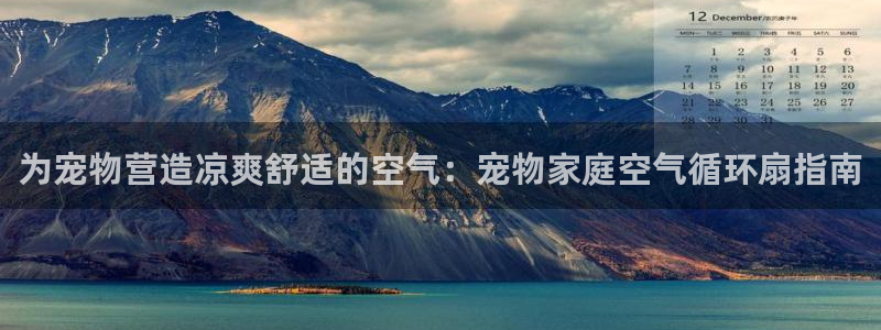 凯发k8娱乐欢迎您：为宠物营造凉爽舒适的空气：宠物家庭空气循环扇指南