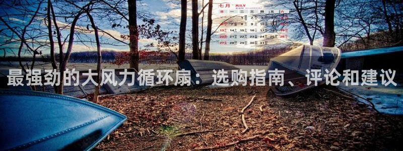 凯发k8网站是多少：最强劲的大风力循环扇：选购指南、评论和建议