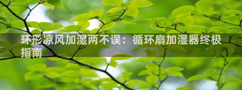 凯发国际网站：环形凉风加湿两不误：循环扇加湿器终极
指南