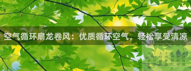 凯发国际可靠送38元：空气循环扇龙卷风：优质循环空气，轻松享受清凉