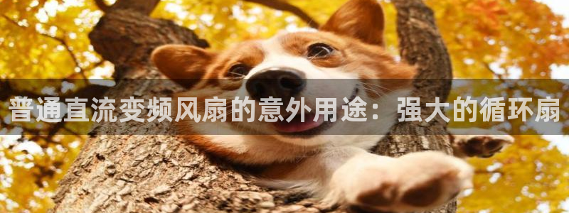 凯发国际怎么赚钱：普通直流变频风扇的意外用途：强大的循环扇