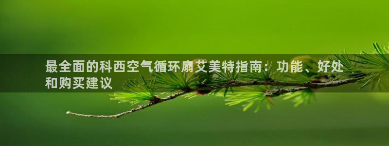 凯发娱乐官网登录：最全面的科西空气循环扇艾美特指南：功能、好处
和购买建议