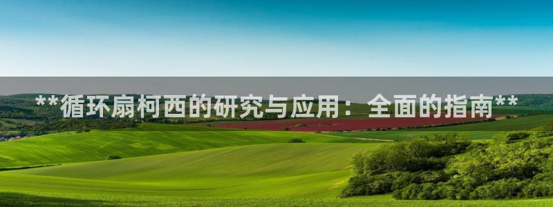 凯发k8国际|首页w来就送38元：**循环扇柯西的研究与应用：全面的指南**