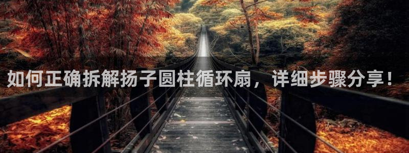 凯发平台8：如何正确拆解扬子圆柱循环扇，详细步骤分享！