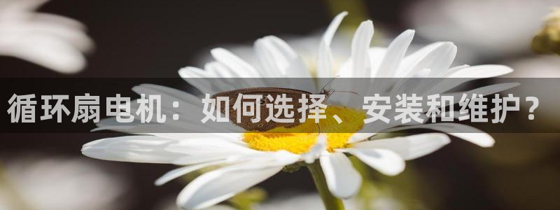 凯发旗舰客户端：循环扇电机：如何选择、安装和维护？
