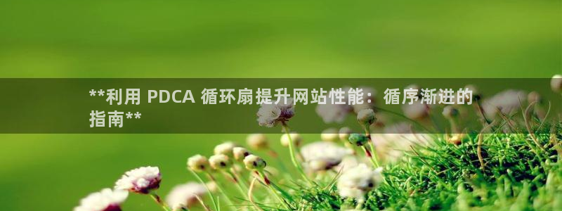 凯发官方:访问凯发.网站：**利用 PDCA 循环扇提升网站性能：循序渐进的
指南**