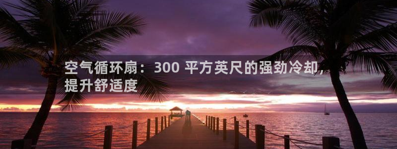 凯发国际平台：空气循环扇：300 平方英尺的强劲冷却，
提升舒适度